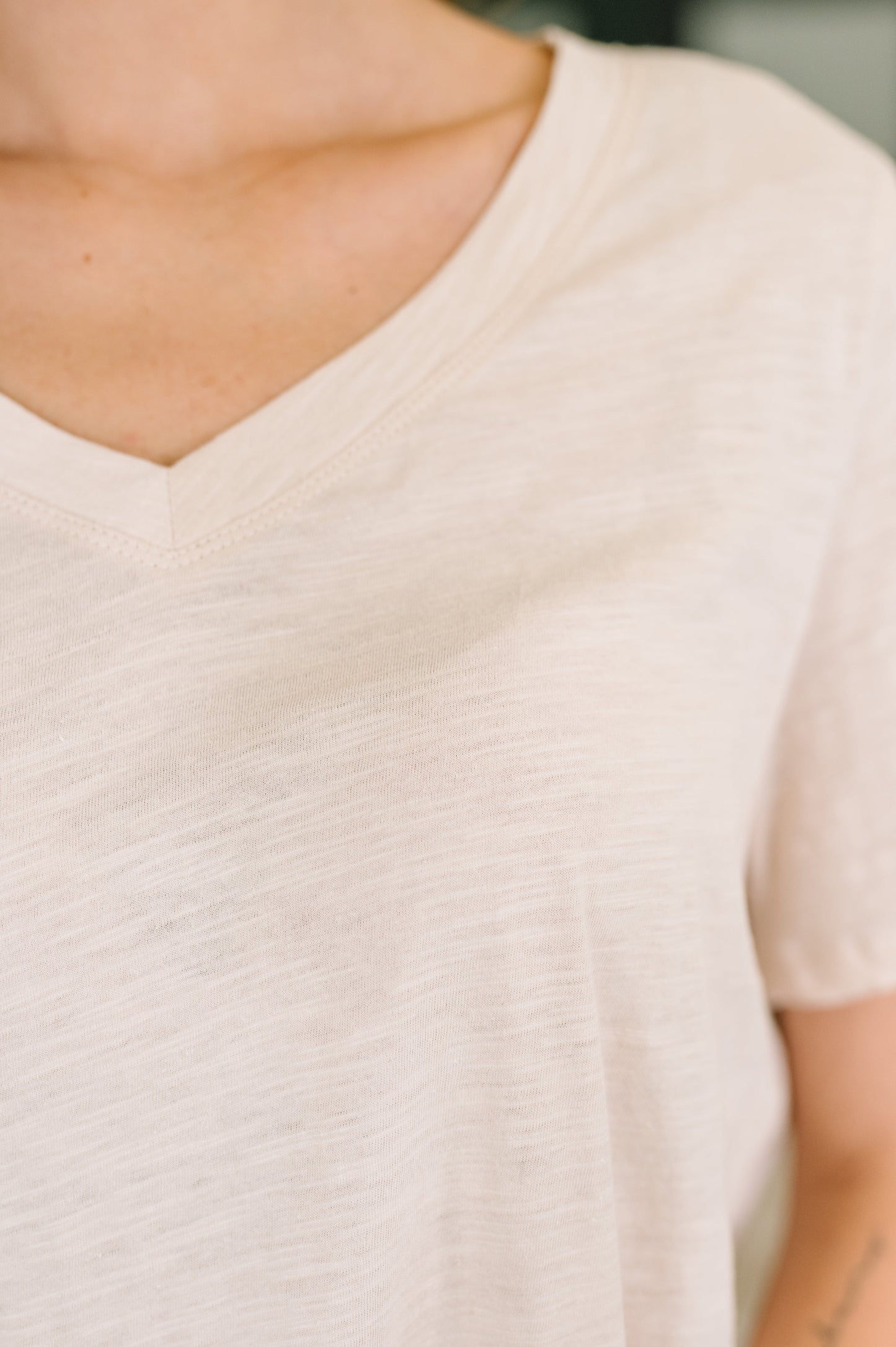 I Don't Have to Choose V-Neck Tee in Oatmeal